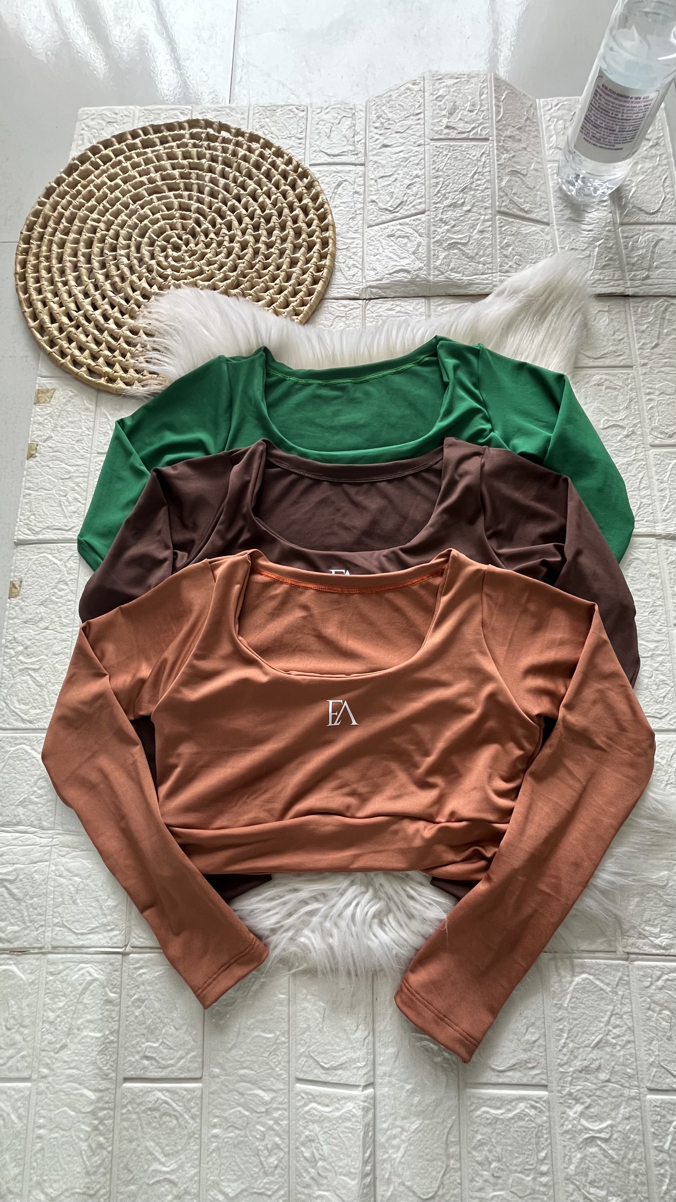Cropped M.longa (Av)